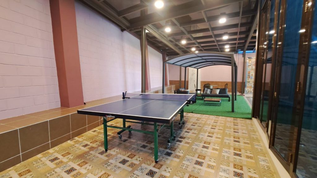 tenis meja